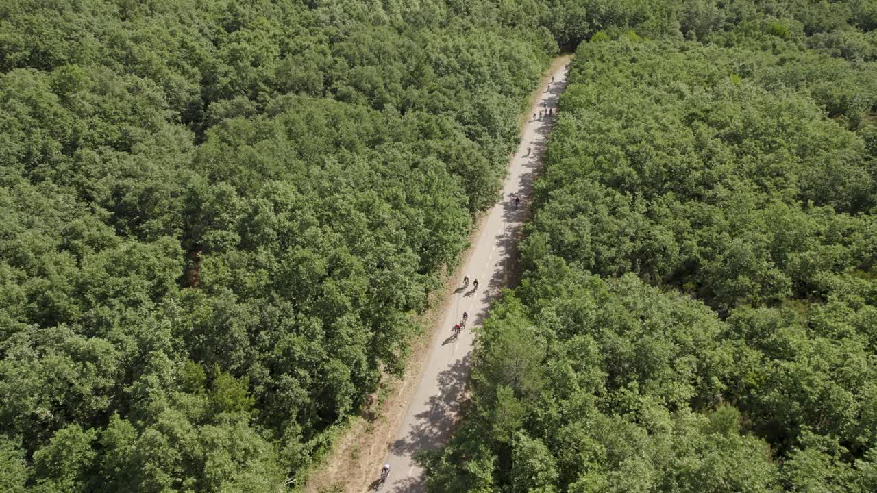 Aerial - cyclists riding through a forest road in Portugal surrounded by trees