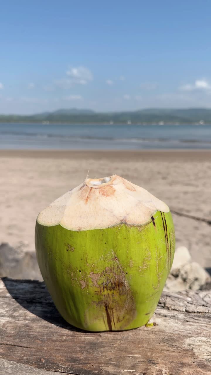Coconut on tropical beach, summer holiday background