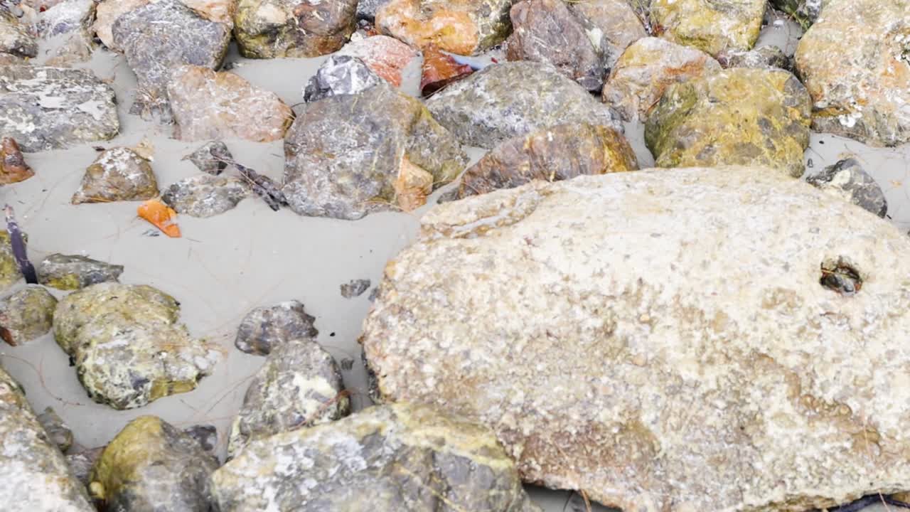 Detailed view of various textured rocks on sandy shoreline, showcasing natural patterns and earthy tones.