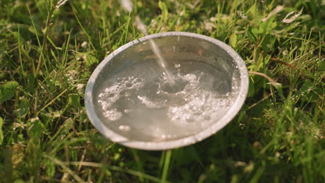 pérdida de agua que se vierte en una placa metálica en un terreno cubierto de hierba bajo un clima soleado, el agua se desborda de la placa creando un pequeño charco alrededor a medida que cae sobre la hierba