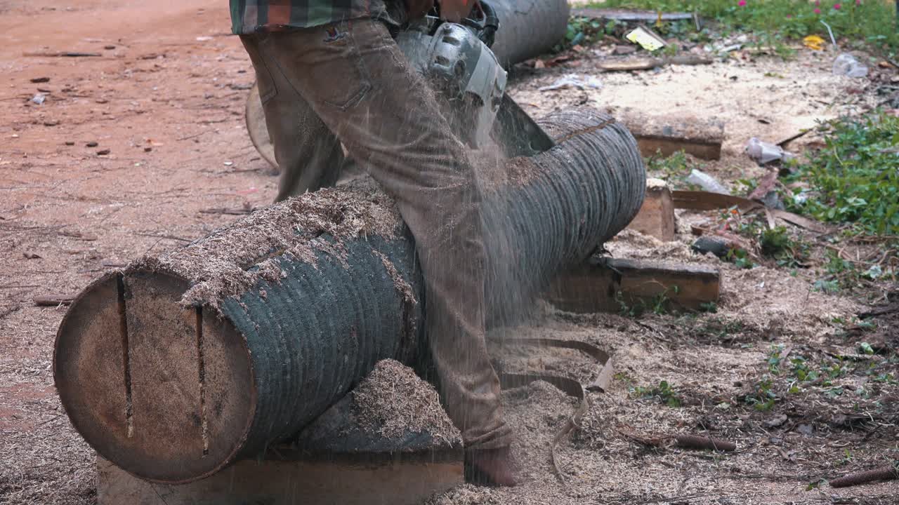 plano medio del tronco de un árbol cortado con una motosierra.