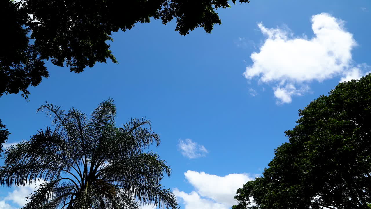 구름과 푸른 하늘의 시간 경과