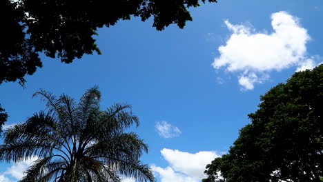 Time-lapse-of-blue-sky-with-clouds