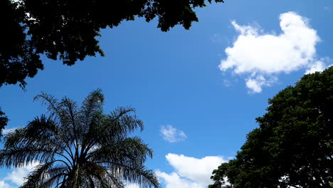 lapso de tiempo de cielo azul con nubes