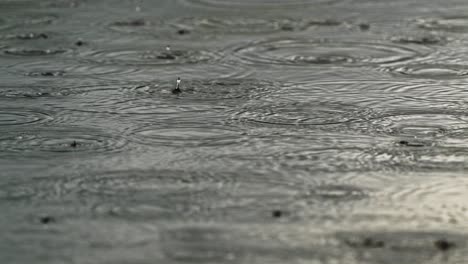 rain water ripples