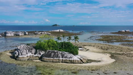 aerial landscape of extreme low tide around tropical