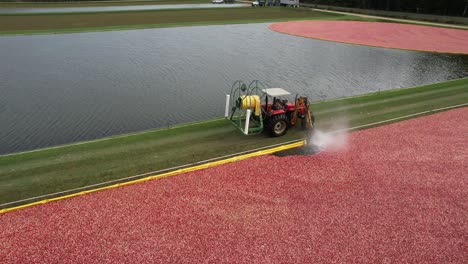 a yellow boom surrounds cranberries in a cranberry bog