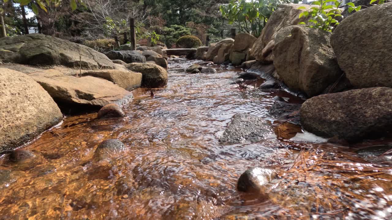 un suave arroyo de agua serpentea entre las rocas del bosque