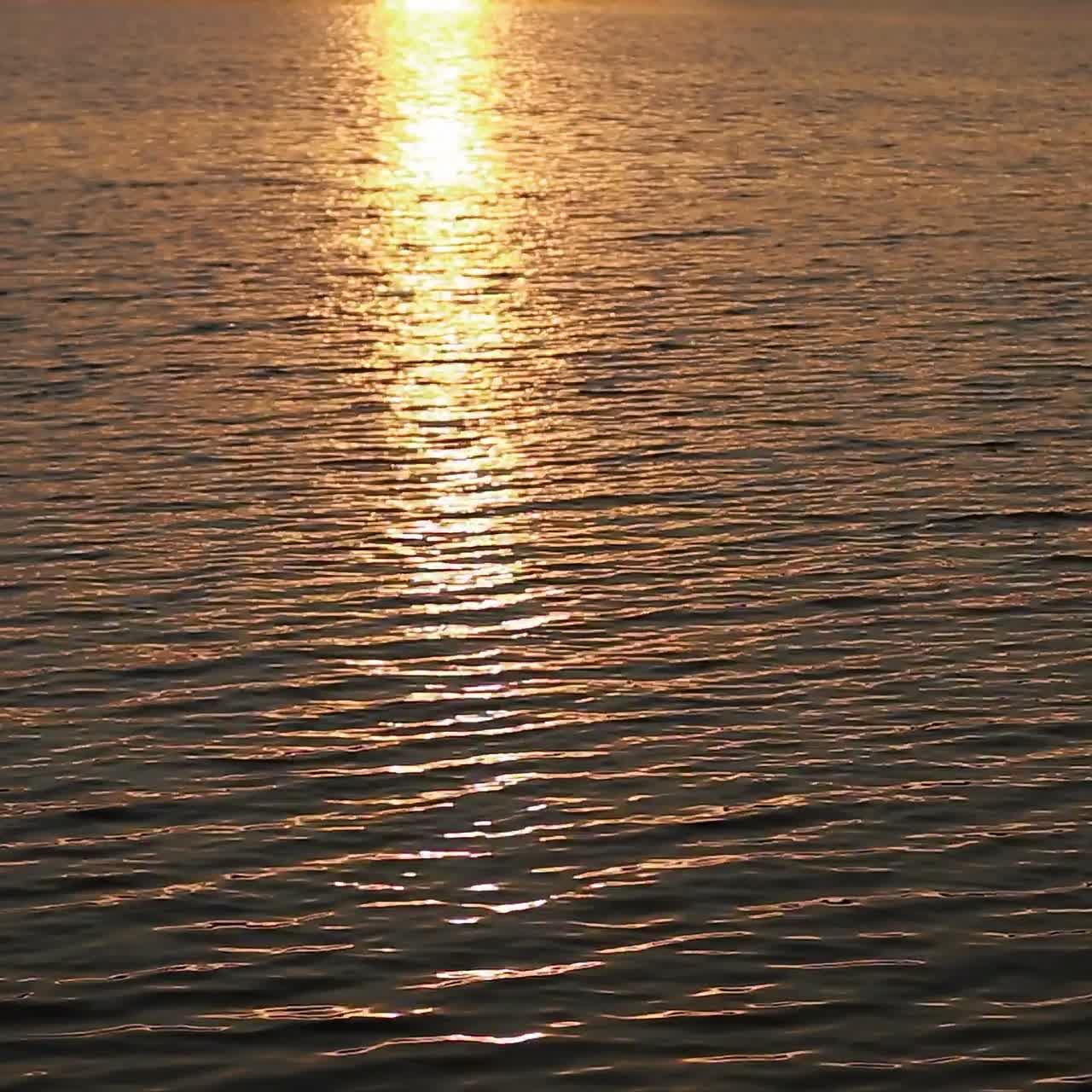 Landscape With The River. Beautiful wild nature park, forest. River or lake with clear water