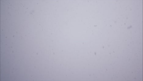 nieve que cae sobre un fondo de cielo brumoso