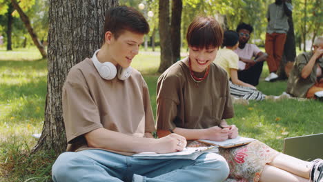 college groupmates studying outdoors in park