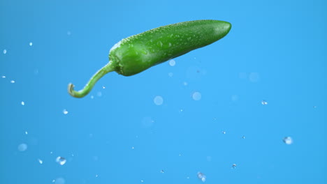 un solo pimienta de chile verde jalapeno saltando en el aire con gotas de agua