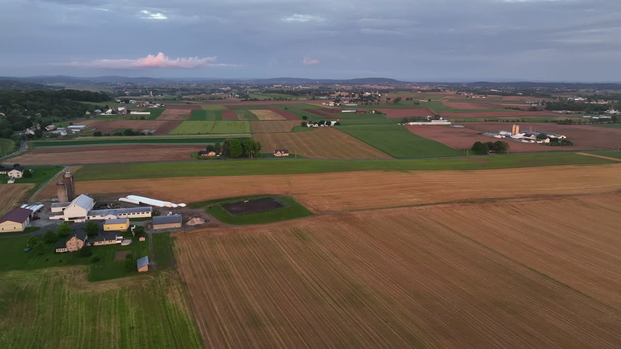 Aerial flyover agricultural farm fields with cropland and growing wheat plants. Wide shot. Sunset time in american suburb. Car on intersection road. Farmstead with silo storage.