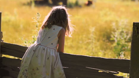 a little girl looks out over a farm field in the early evening light