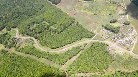 city scape-rural village of africa-kenya loitokitok . forest cover.