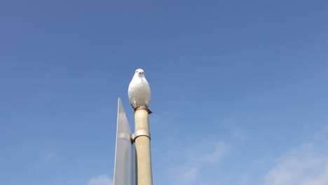 gaviota de pie en el poste contra el cielo azul