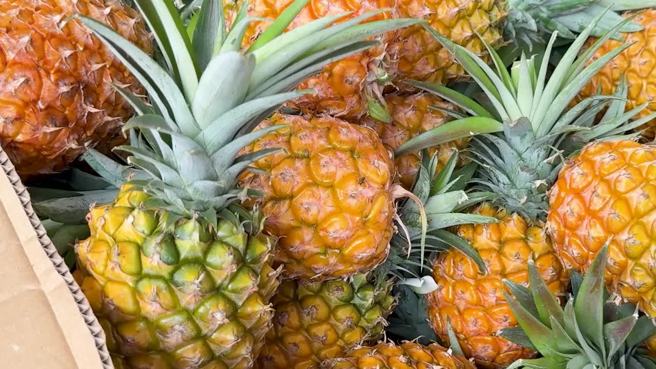A detailed view of fresh, ripe pineapples with green leaves packed in a cardboard box.