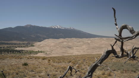 great sand dunes national park landscape view through juniper tree branches