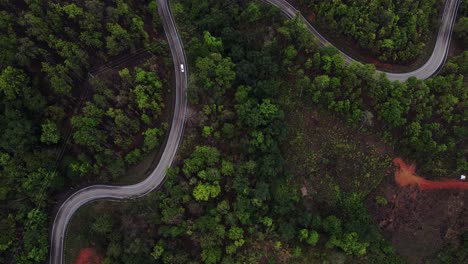 toma aérea de una calle con curvas entre el bosque en tailandia