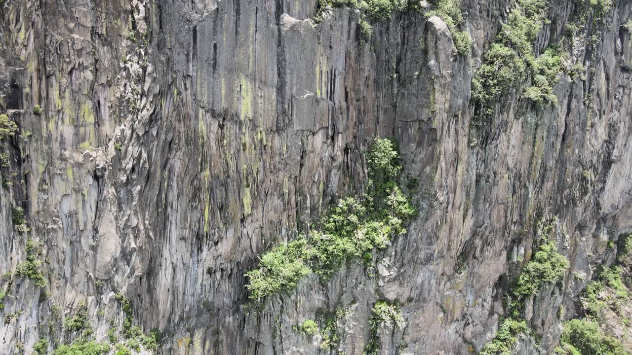 foque hacia arriba con inclinación hacia abajo frente a la roca en la ciudad de méxico en un día soleado