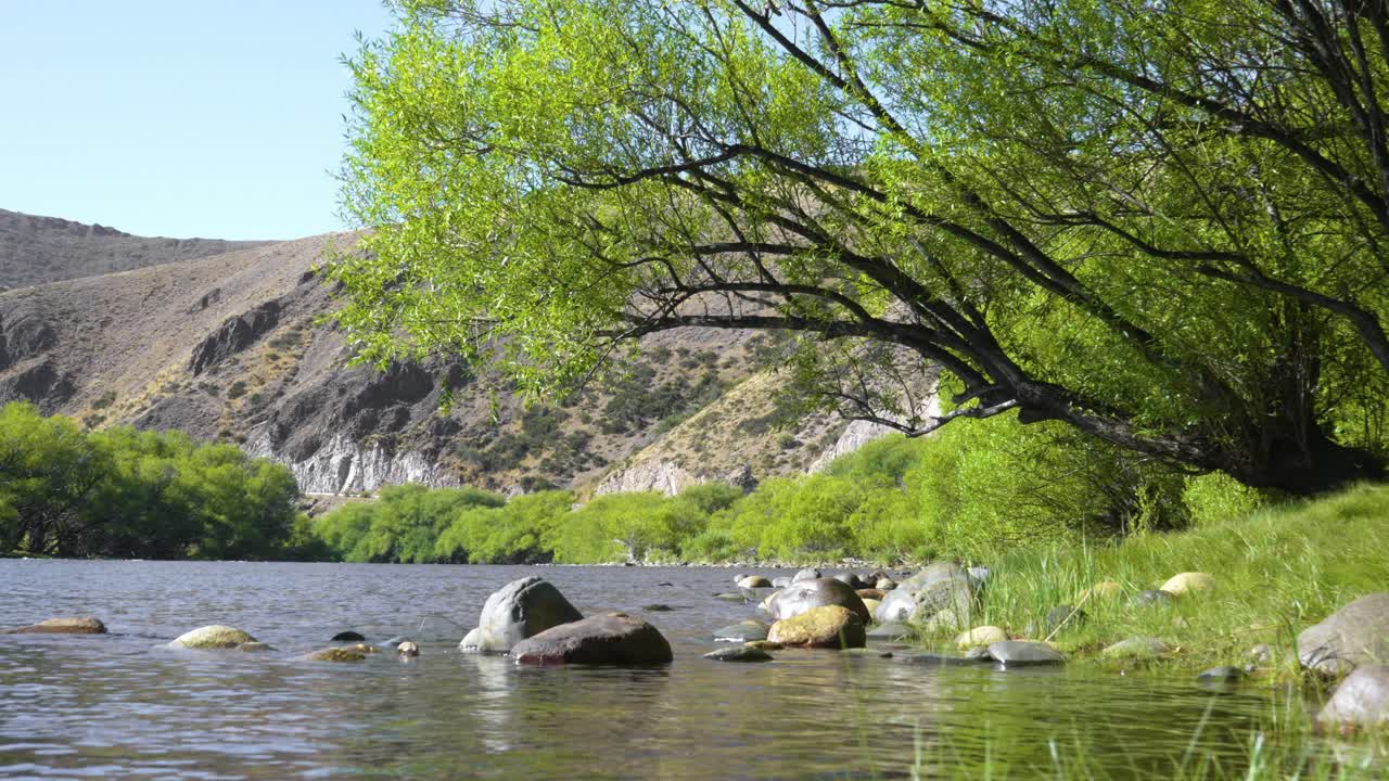 Pristine clear water flows past trees and rocks on the Alumine River shore in Neuquén, Argentina.