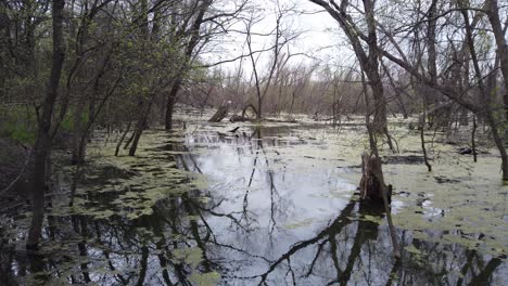 beaver pond in the llela area of lake lewisville in texas