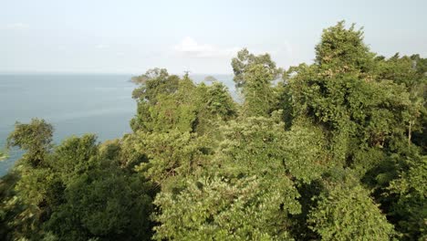 low-angle-aerial-shot-of-rainforest-with-ocean-and-islands-in-the-distance,-Koh-Chang,-Thailand,-shot-at-sunrise