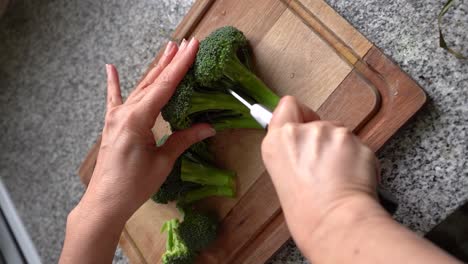 a woman cutting fresh green broccoli at the kitchen home