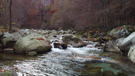 Autumn-river-in-mountain,-fall-forest-trees-foliage-aerial-view