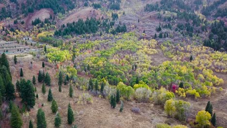 Immergrüner-Und-Espenwald-Während-Der-Blauen-Stunde-Im-Snow-Basin-In-Utah-–-Neigung-Der-Luftaufnahme