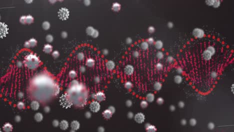 Animation-Eines-DNA-Strangs,-Der-Sich-über-Corona-Viruszellen-Dreht