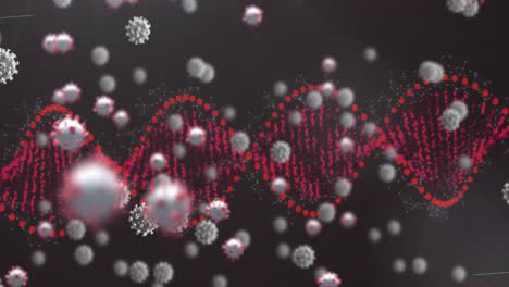 animación de la cadena de adn que gira sobre las células del virus de la corona