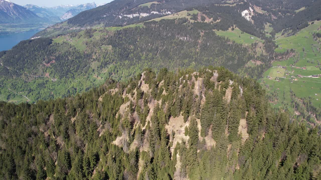 Aerial view of a forested ridge with a steep slope overlooking a lush green valley in the Swiss Alps on a sunny day