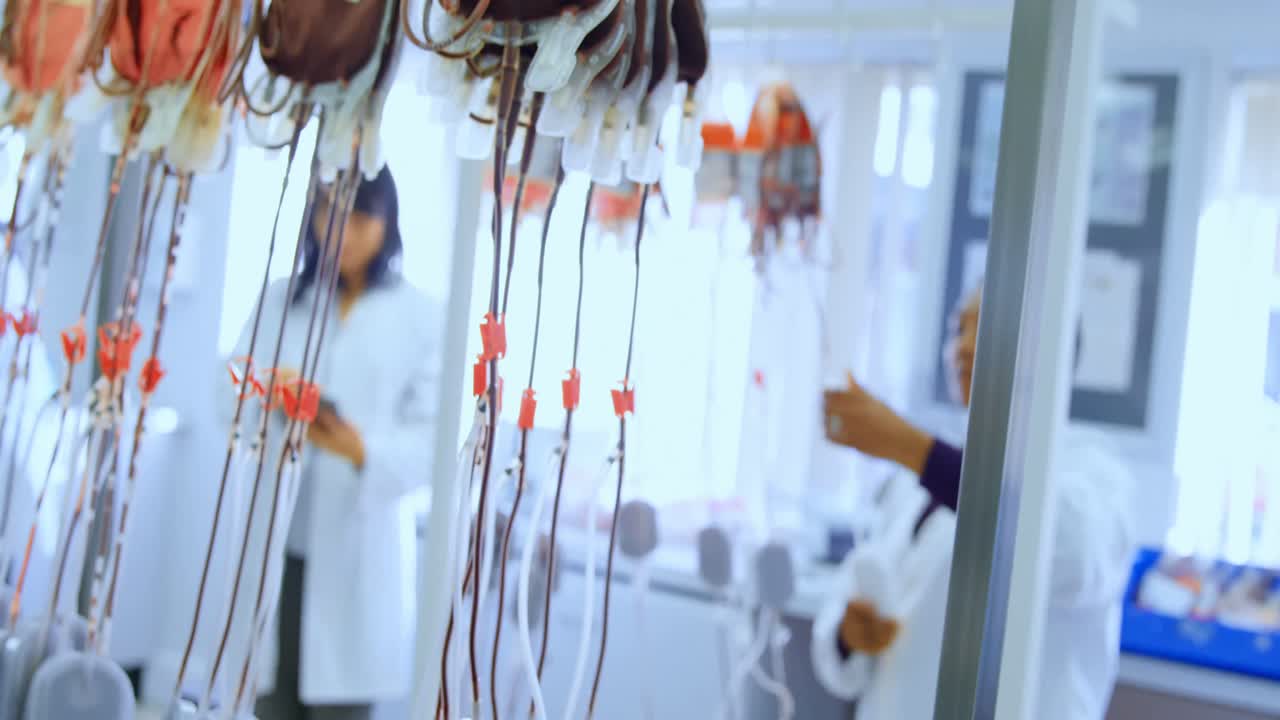 Tecnici di laboratorio che analizzano sacche di sangue 4k