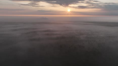 misty sunrise over forest