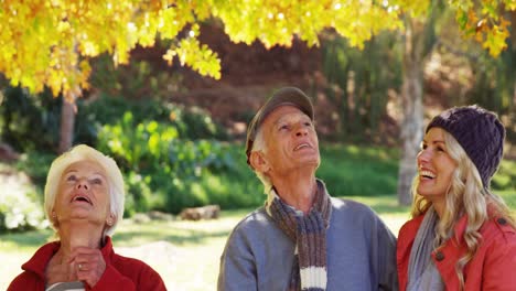 Grandparents-and-parents-pointing-