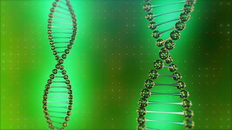 dos espirales de hélice de adn girando sobre un fondo azul digital. ciencia y salud