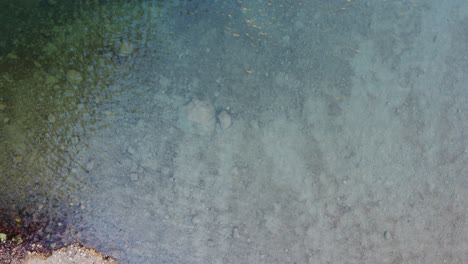 albufera natural park water pond lake in valencia, spain, aerial top down view