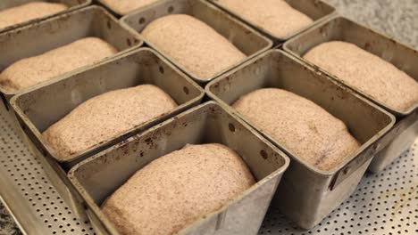 preparing bread loaves in loaf pans