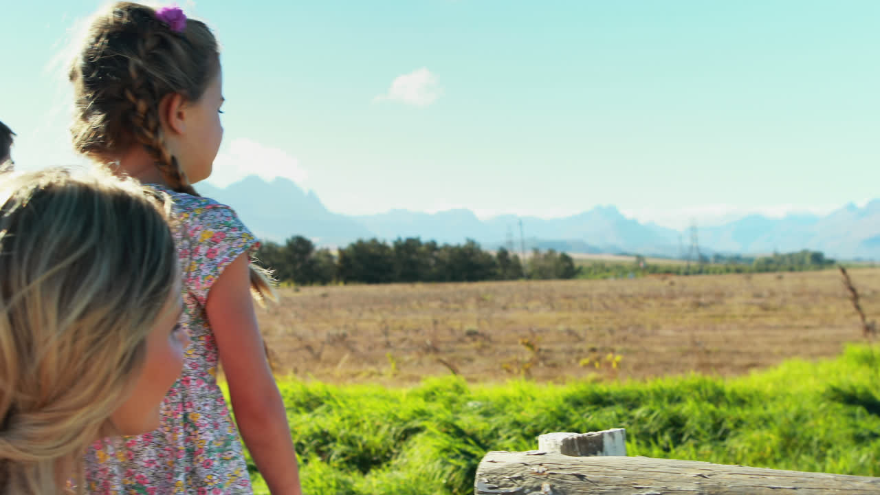 행복한 가족이 공원 4k에서 재미를 느끼고 있습니다.