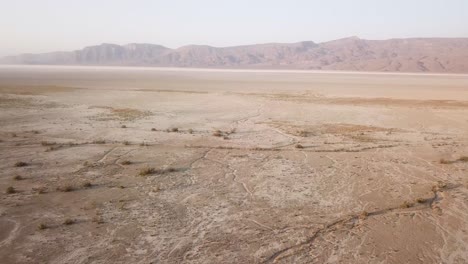 fly over a salt lake desert mountain background drone shot wide view scenic landscape of wonderful simmer fig garden harvest season in mountain foothill traditional agriculture rural countryside iran