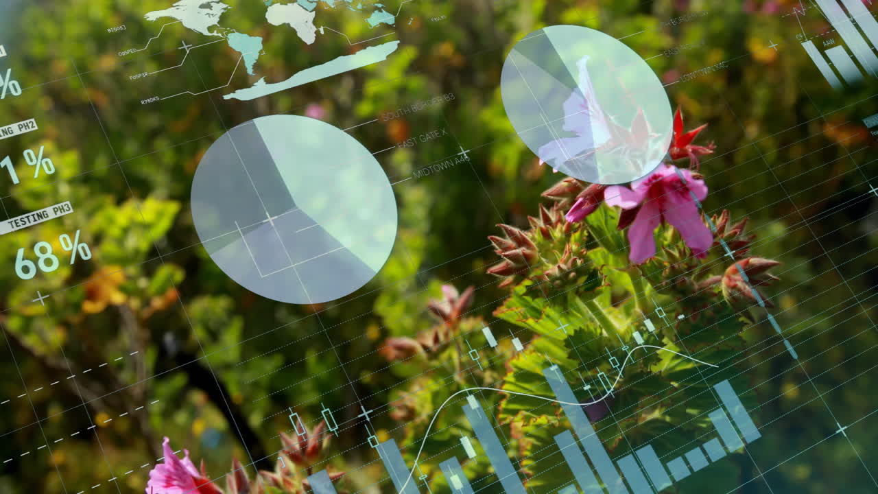 정원에서 금융 데이터 처리의 애니메이션