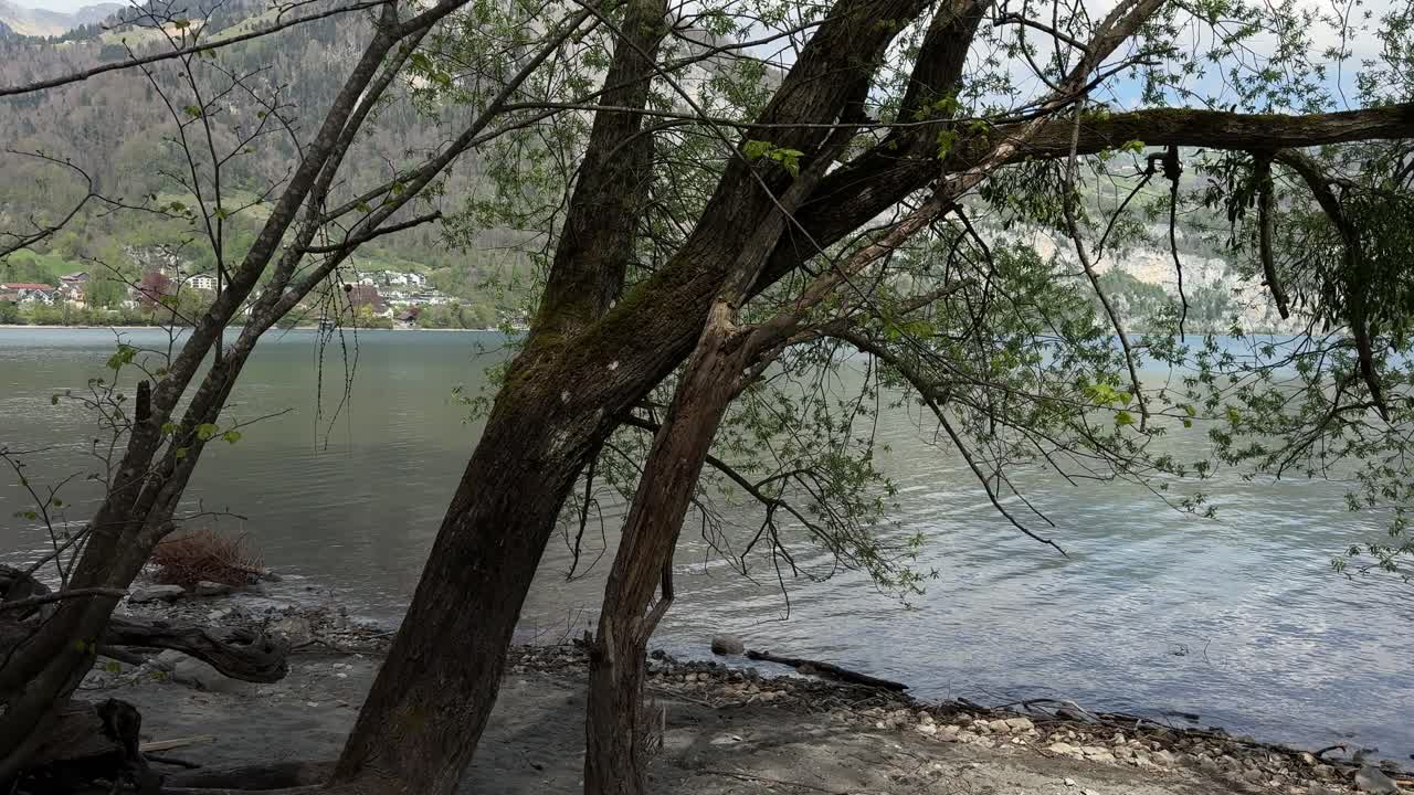Walensee lake shoreline waves Switzerland coastline Europe alpine nature outdoor