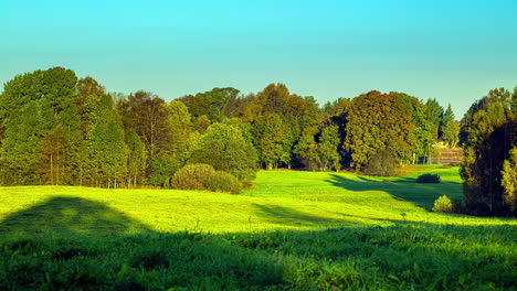 static view of morning sunlight illuminating over the lush green grasslands in the countryside in timelapse