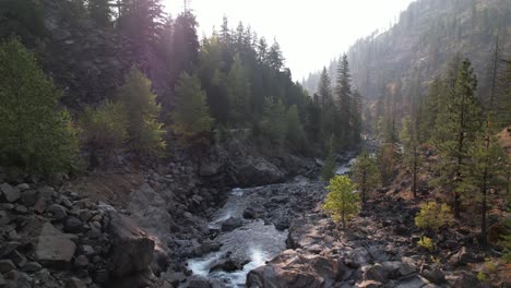 aerial forest landscape with pine tree forest and river in leavenworth is a bavarian-styled village in the cascade mountains, in central washington state