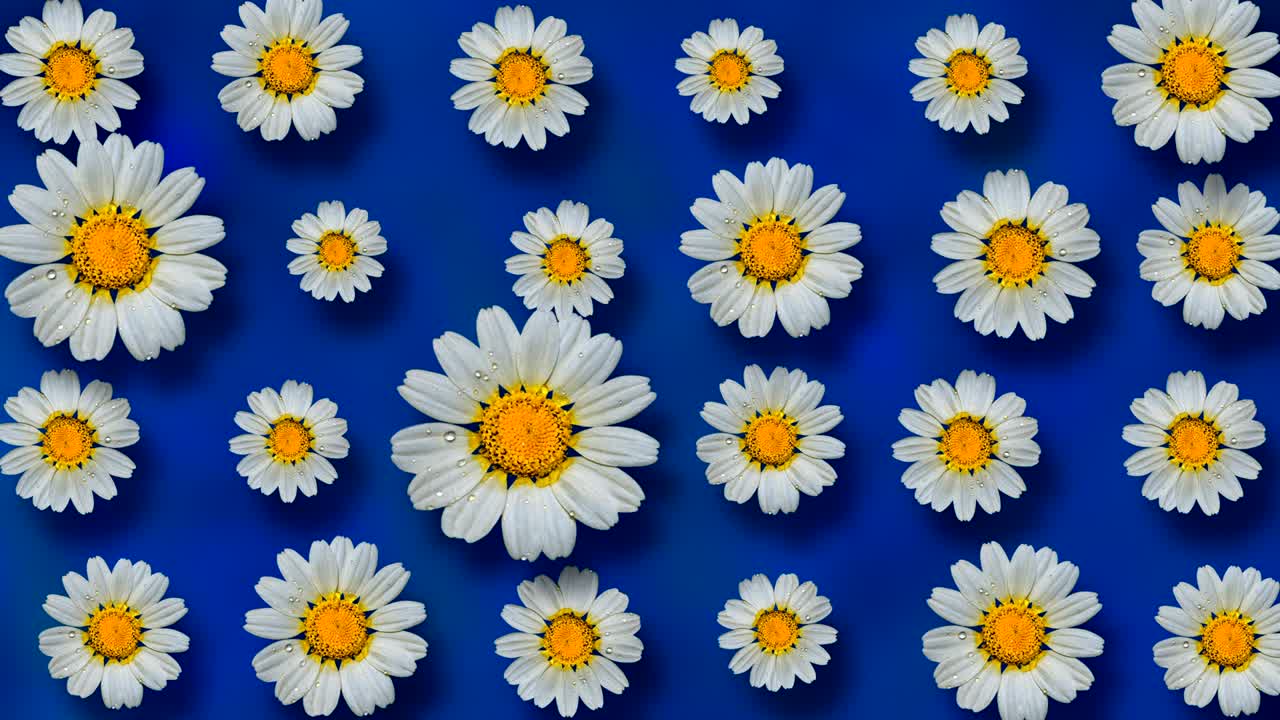 hermoso fondo floral animado de verano