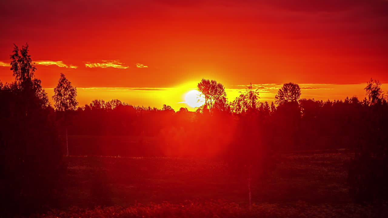 Timelapse of beautiful red and orange colored sunrise over field of dandelions