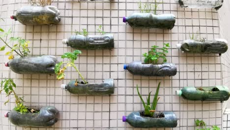 campus green planting corner, create plastic bottles plant wall