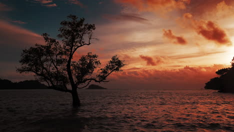 Ocean-Waves-surrounding-lonely-tree-in-Koh-Chang,-Thailand,-while-the-sky-is-ablaze-with-the-warm-hues-of-a-breathtaking-sunset-–-a-vivid-canvas-of-yellow,-orange,-and-red