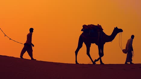 Cameleers,-camel-Drivers-at-sunset.-Thar-desert-on-sunset-Jaisalmer,-Rajasthan,-India.